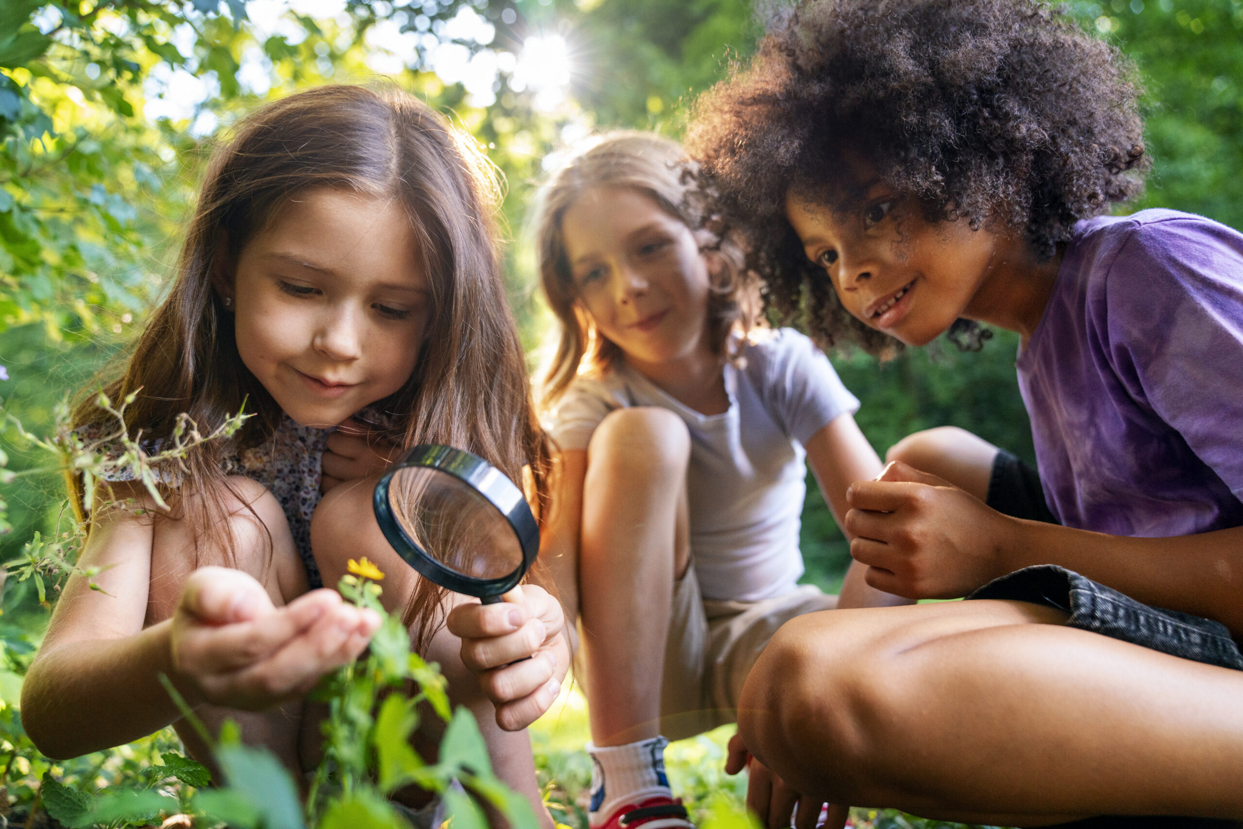 Youké visie op diagnostiek en classificatie